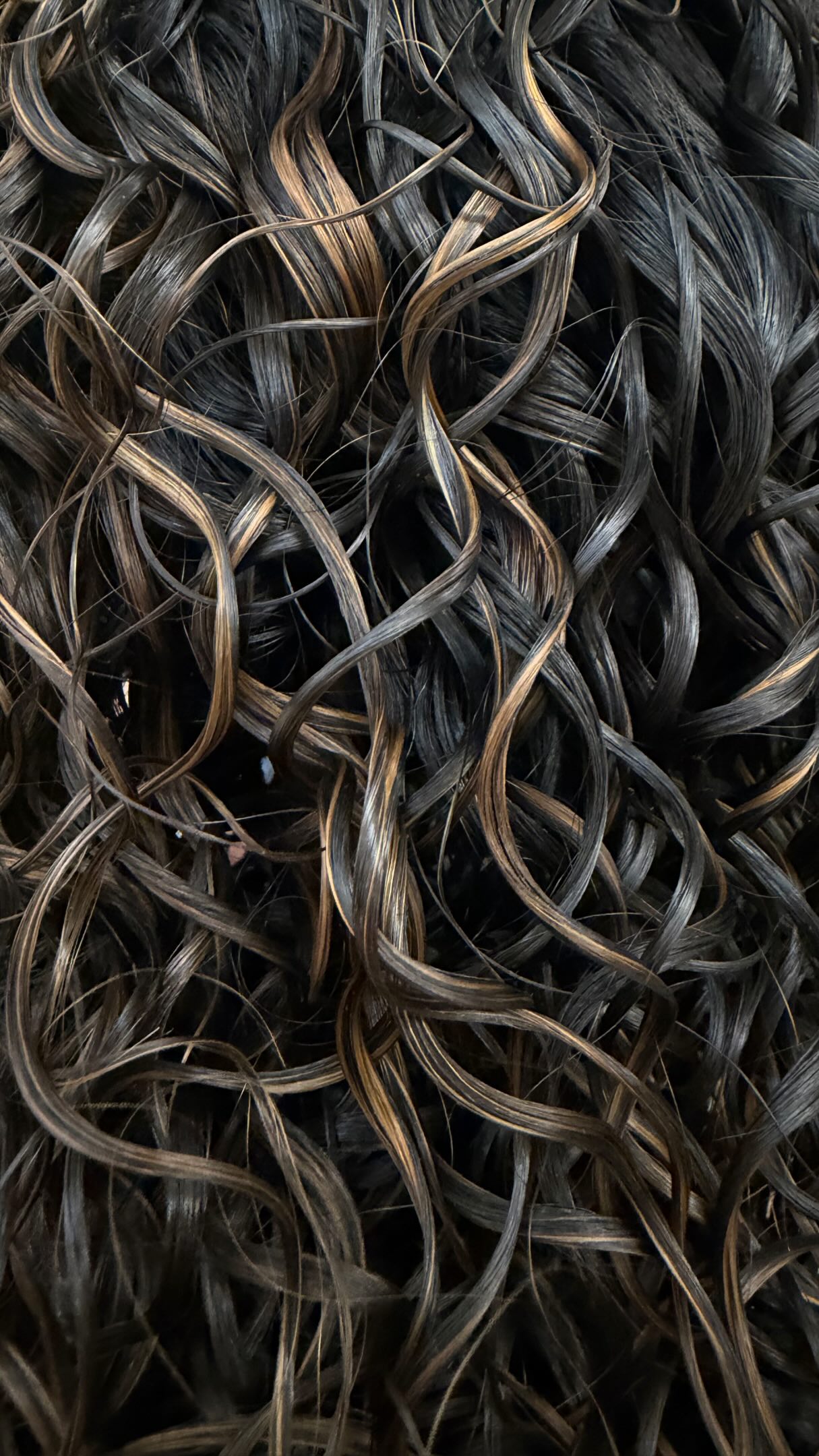 AleJr Salon hairstyle gallery image 38